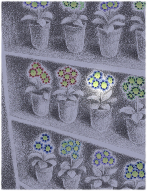 Lesley White Illustrator Brighton